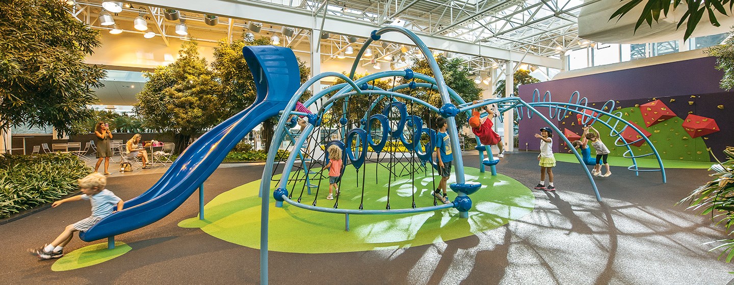 Local Playground Indoor Playgrounds